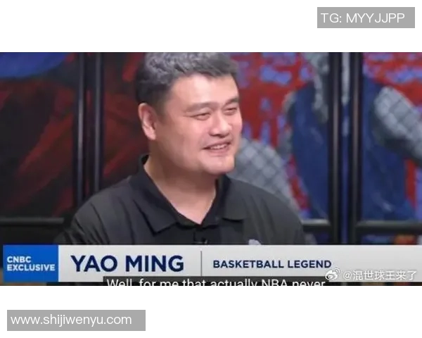 姚明在NBA的表现为何未能达到预期能力分析与职业生涯反思
