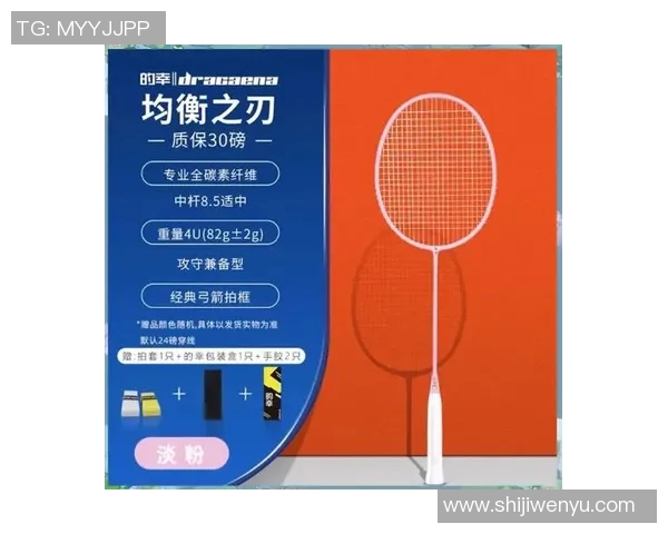 羽毛球器材价格全面解析助你选购最优性价比装备